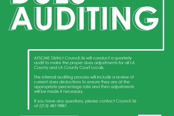 dues_auditing_flyer.png