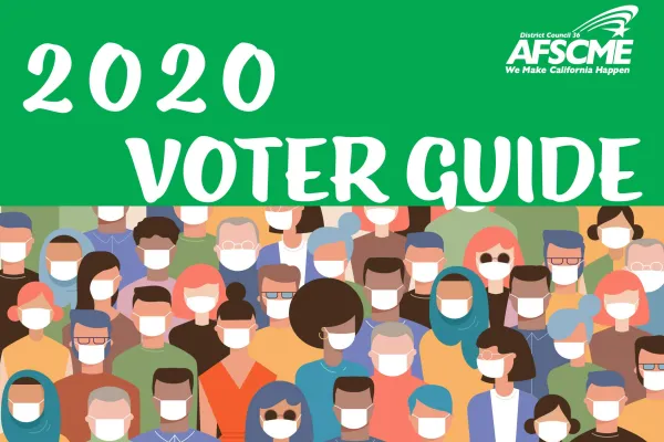 voterguide2020-1.jpg