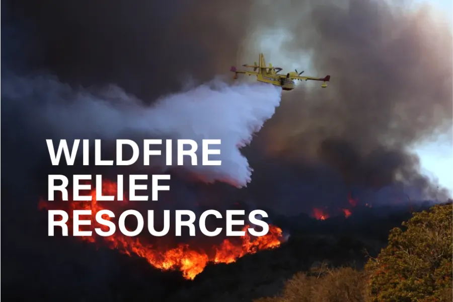 Image of wildfire with text that says wildfire relief resources