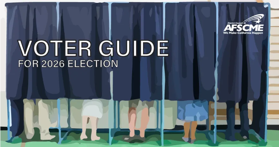 Voter Guide Graphic