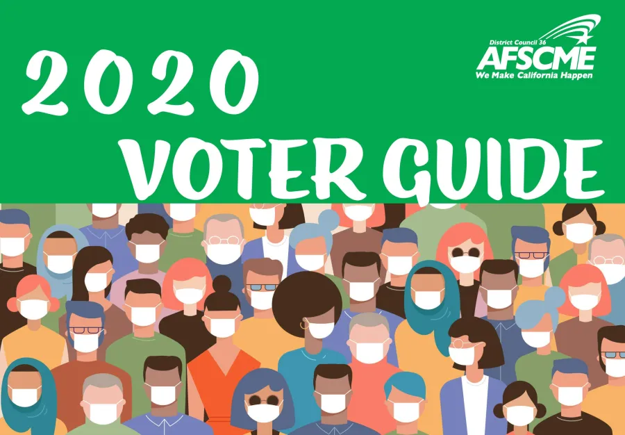 voterguide2020-1.jpg
