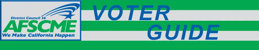 voterguidethumbnail.jpg